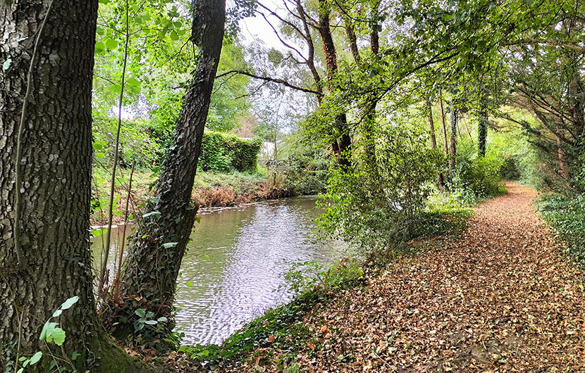 rivière de Reyssouze avant restauration